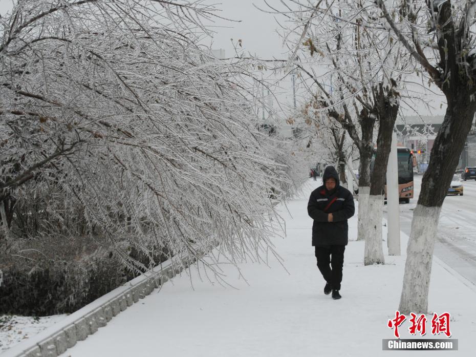 长春冰雪灾害，挑战与应对