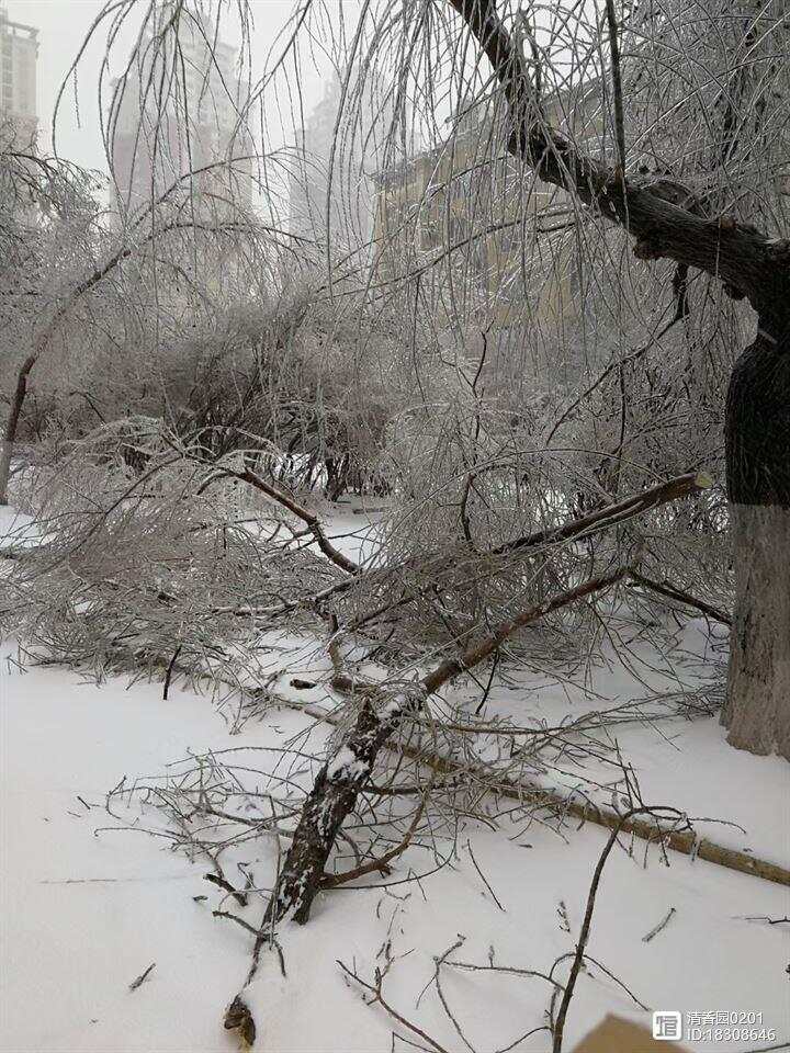 综合快报 第58页