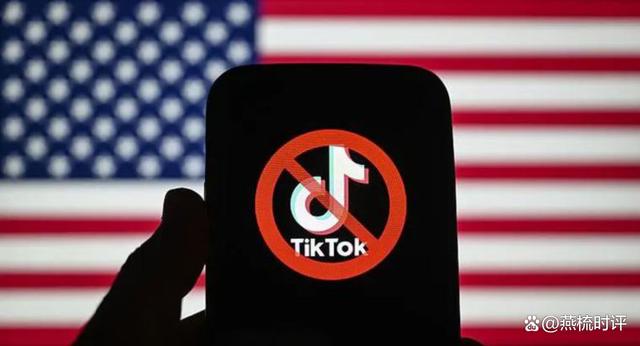 TikTok硬刚美国禁令，挑战与应对