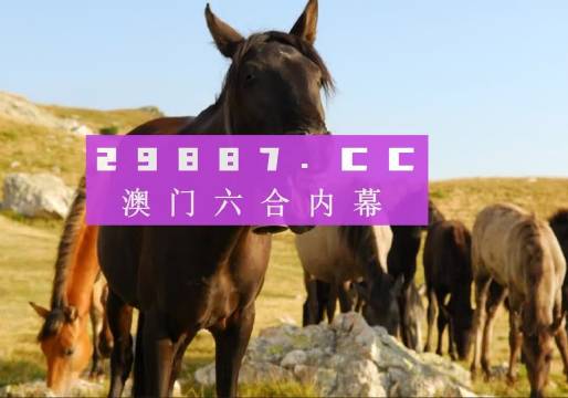 澳门管家婆一肖一码一中+Superior61.907_反馈调整和优化