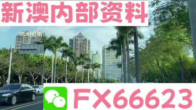 新澳2025年精准正版资料+CT78.584_反馈内容和总结