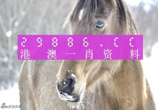 澳门一肖一码100%精准+L版30.767_反馈分析和检讨