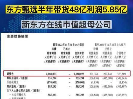 东方甄选遭遇挑战，六个月净亏9650.3万元——深度解析与未来展望