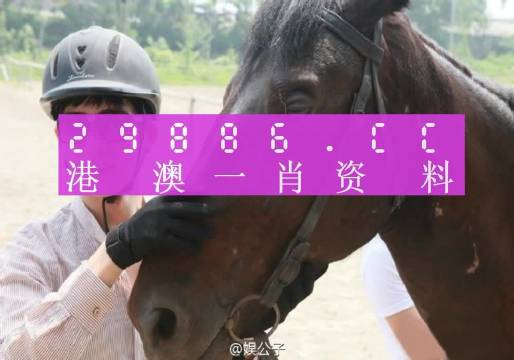 今晚澳门精准一肖一马+安卓版20.507_细化落实