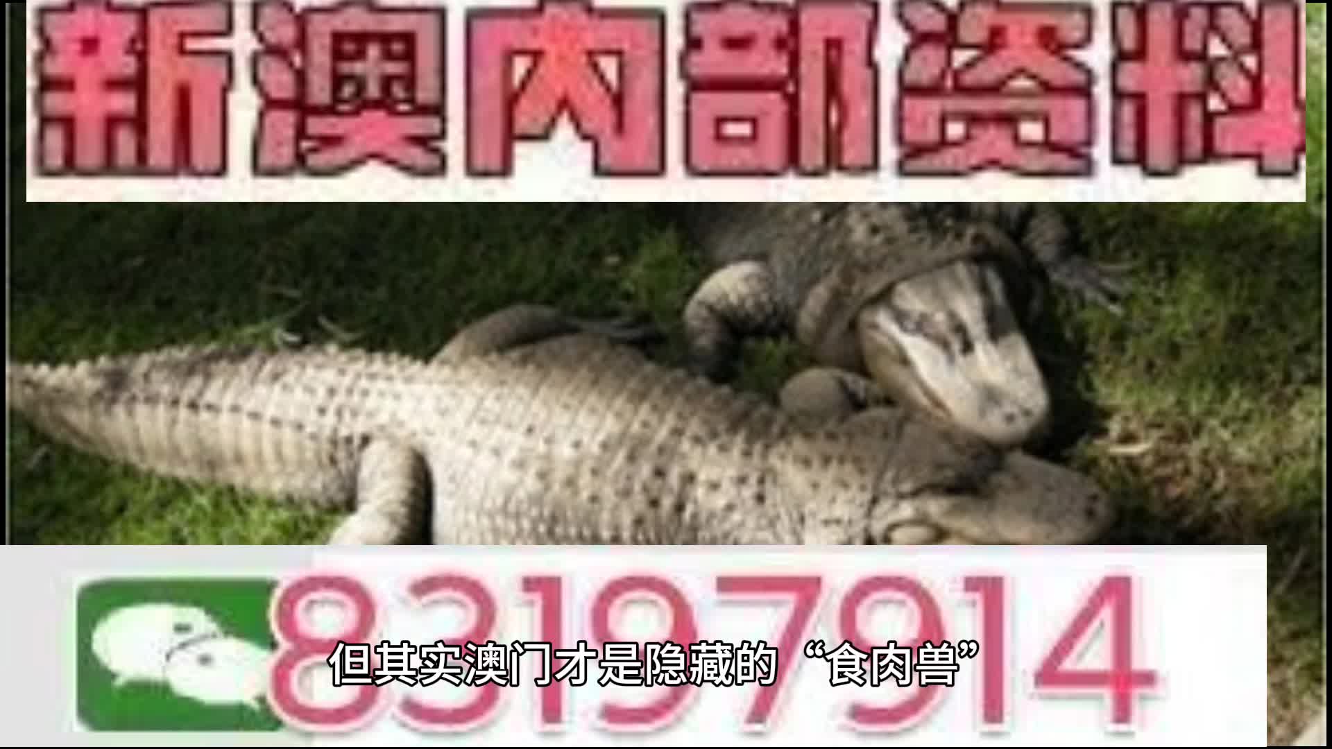 2025澳门特马今晚开什么码+粉丝款86.747_反馈意见和建议