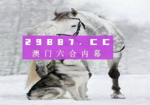 777778888精准跑狗+VR版16.781_反馈执行和跟进